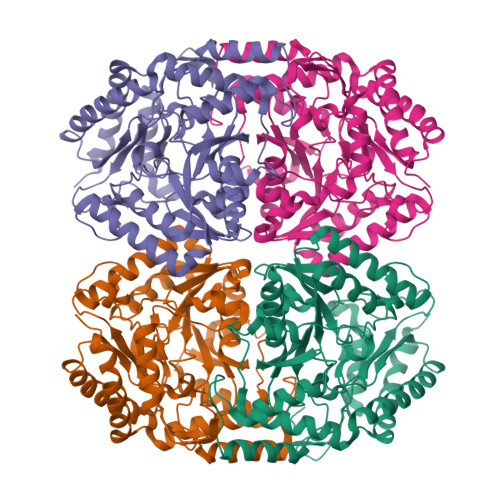 Structure 22PO