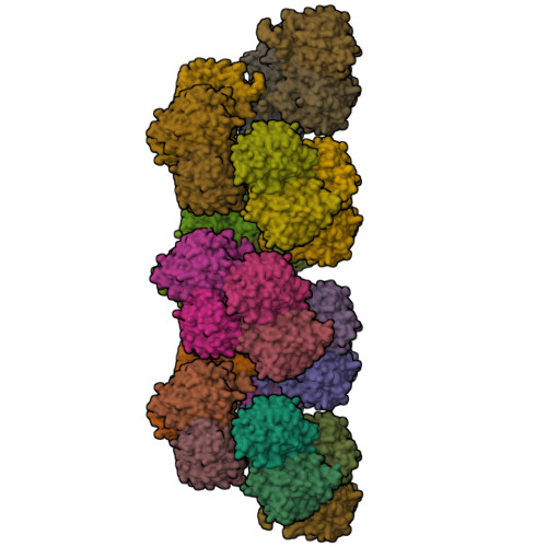 Structure 22RY