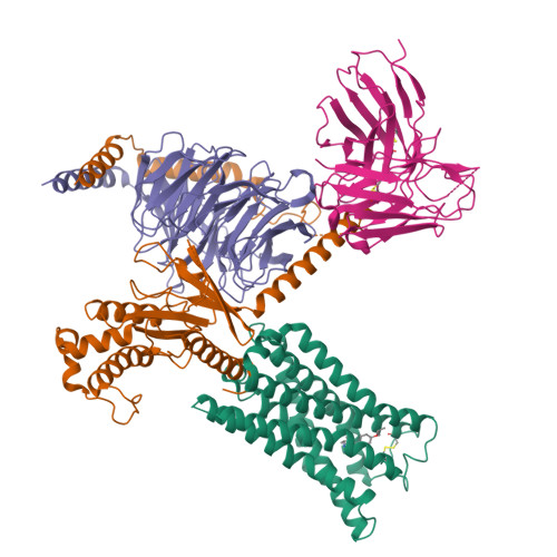 Structure 22TA