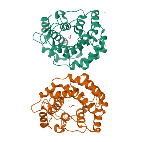 Structure 22TY