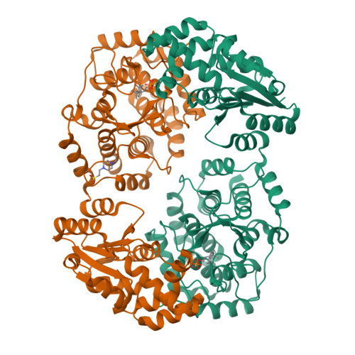 Structure 22TZ