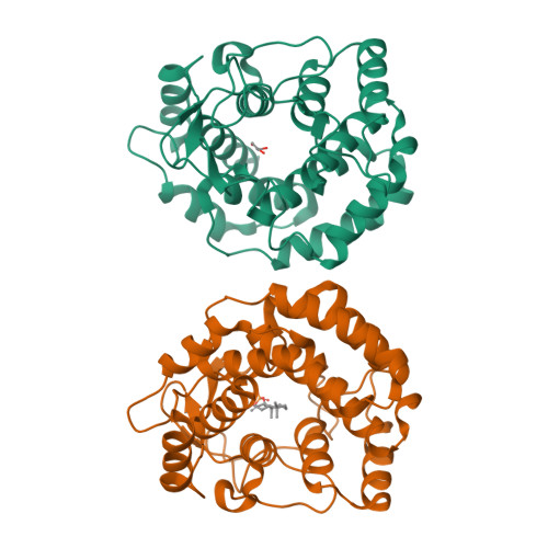 Structure 22UA