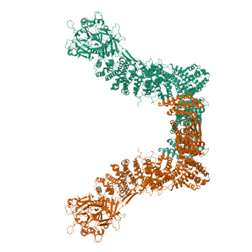 Structure 22VD