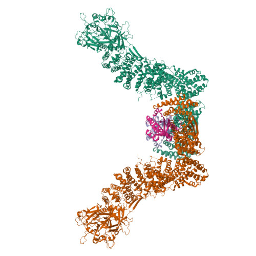 Structure 22VE