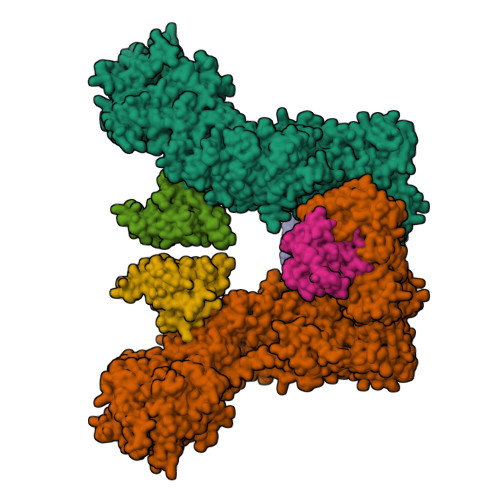 Structure 22VF