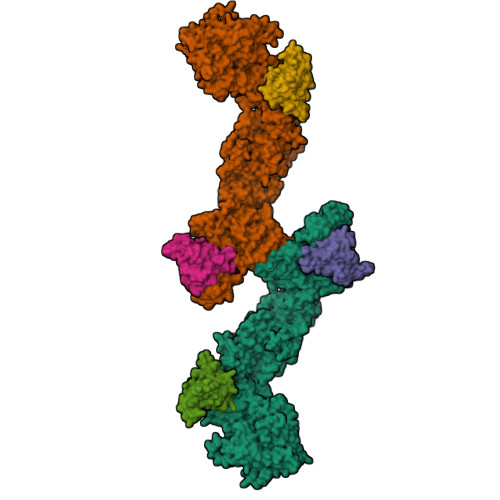 Structure 22VG