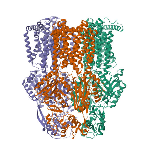 RCSB PDB - 22XK: MexBYB-Ka asymmetry