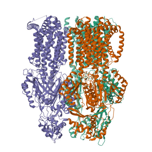 Trs Rscb RCSB PDB - 22XM: MexBYB-Ka symmetry-like