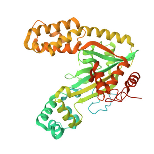 RCSB PDB - 22ZA: crystal structures of RipN from Ralstonia solanacearum