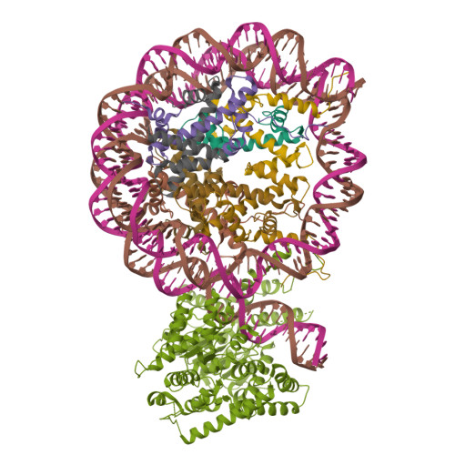 Structure 23AK