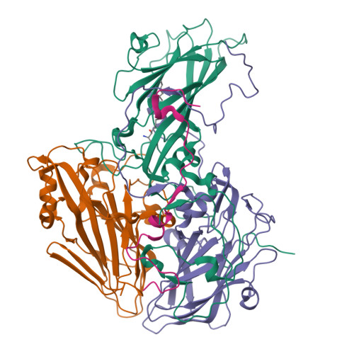 Structure 23AY