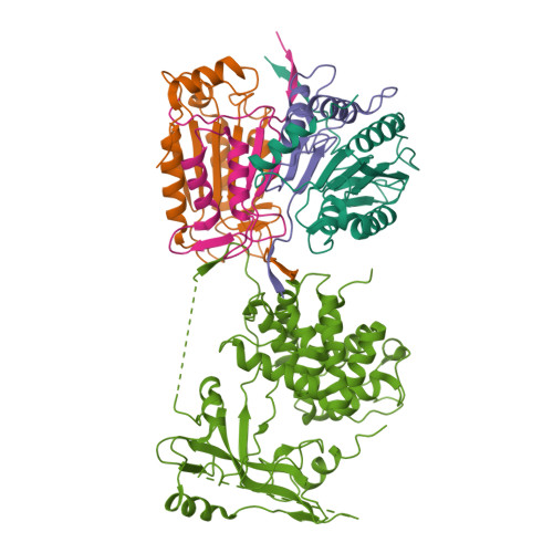 Structure 23BB