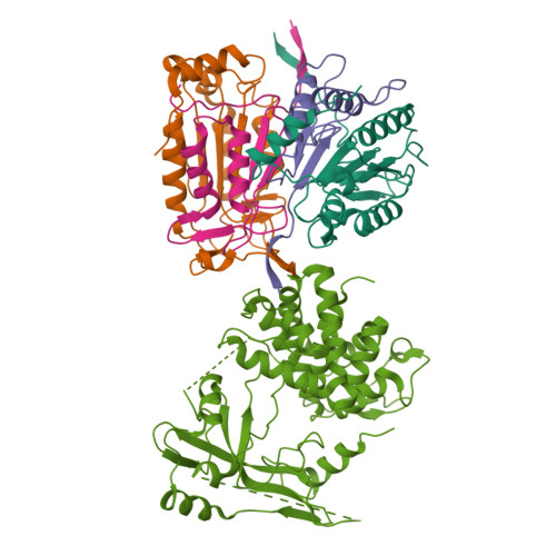 Structure 23BD
