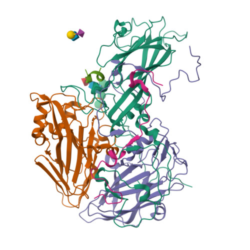 Structure 23BG