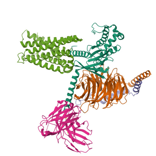 Structure 23CS