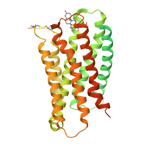 Structure 23CW
