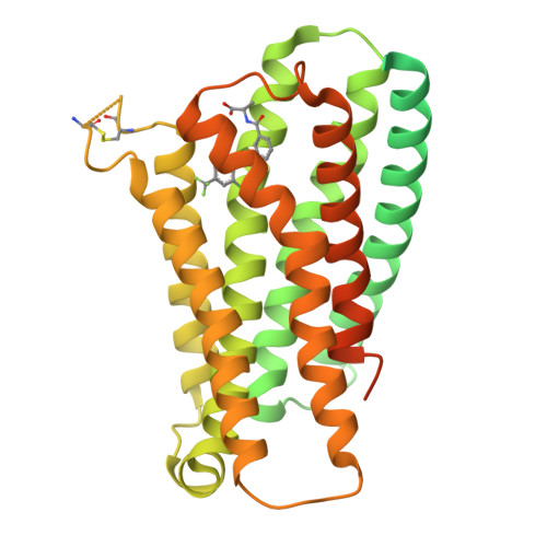 Structure 23CY
