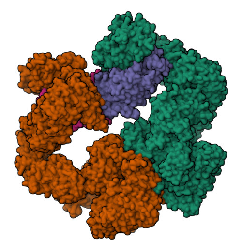 Structure 23EX