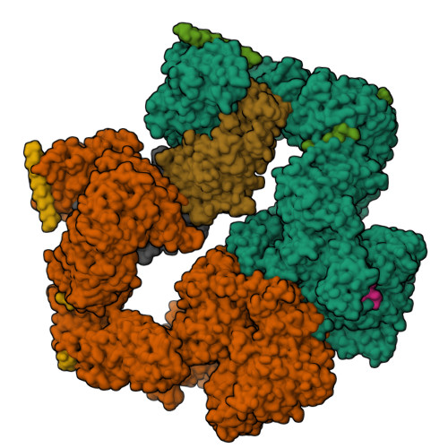 Structure 23FE