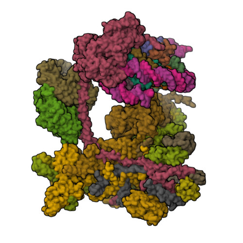 Structure 23FU