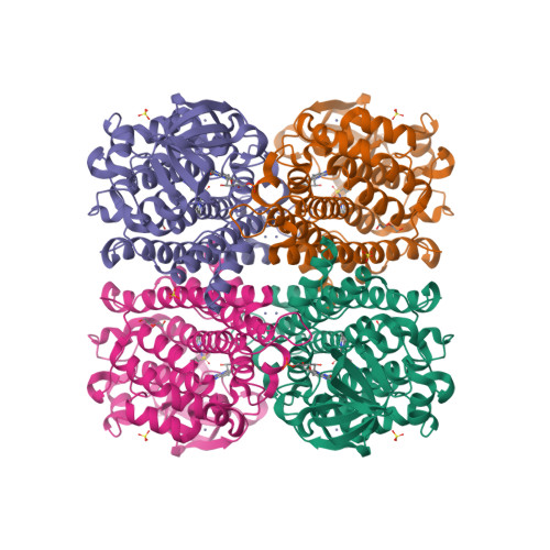 Structure 23FX