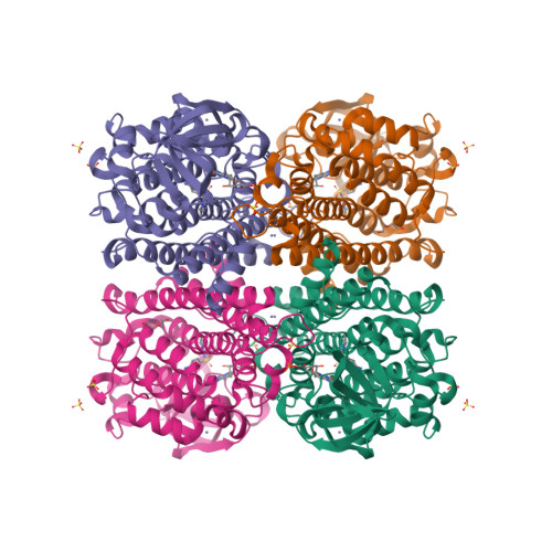 Structure 23FY