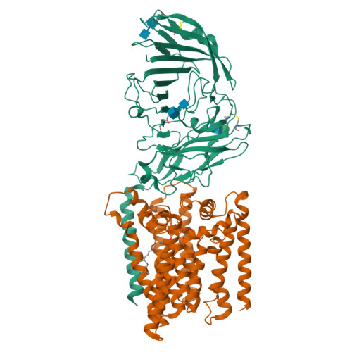 Structure 23GX