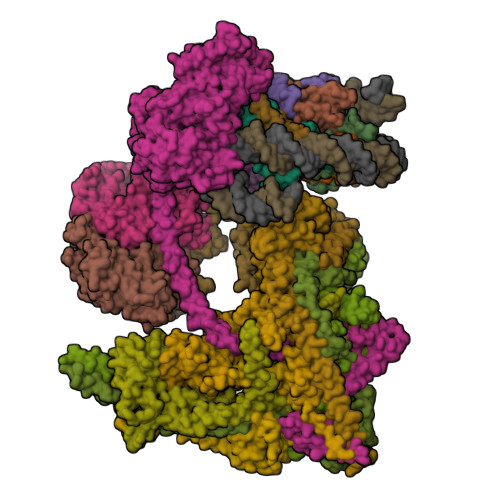 Structure 23IL