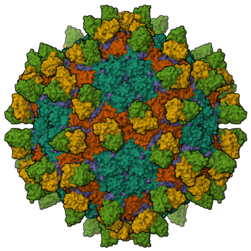 Structure 23IU