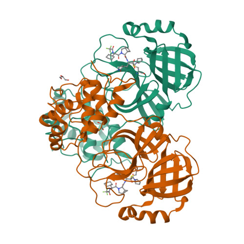 Structure 23MI