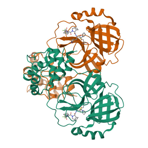 RCSB PDB - 23MK: Crystal structure of SARS-CoV-2 main protease