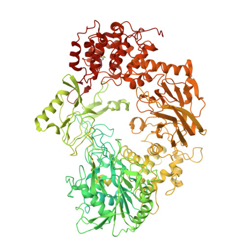 Structure 23PY