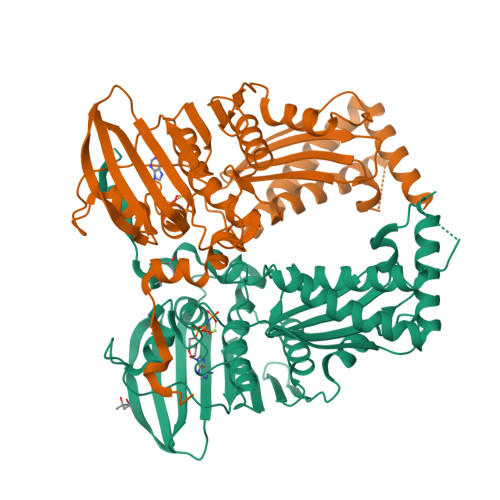 Structure 23UL