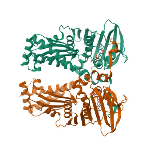 Structure 23UZ