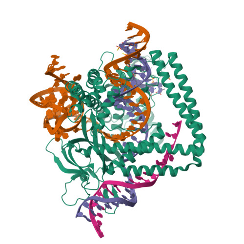 Structure 23VU