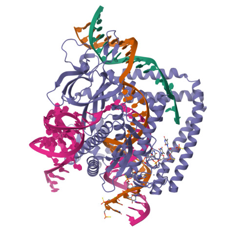 Structure 23VV