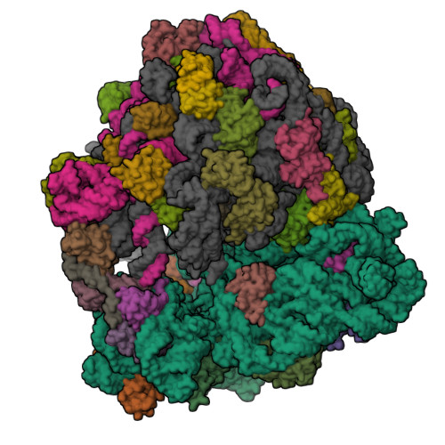 Structure 23WI