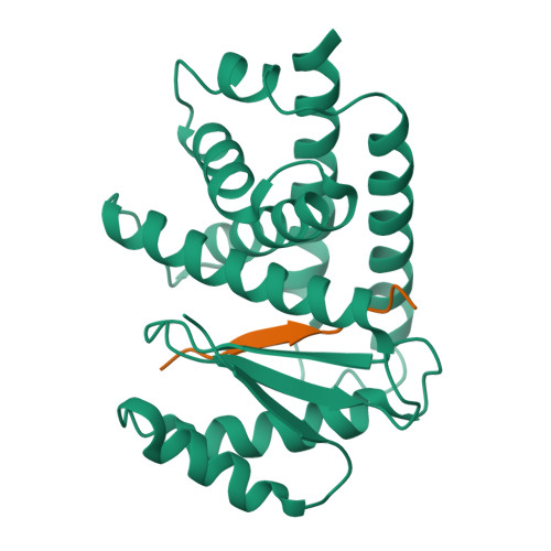 Structure 23WO
