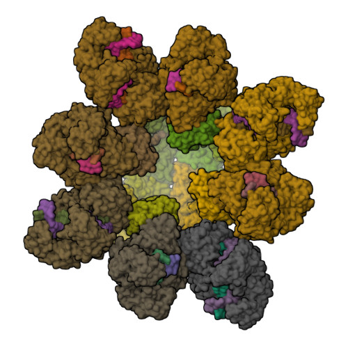Structure 23WQ