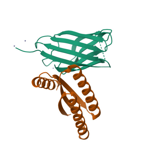 Structure 23WU