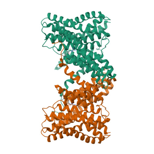 RCSB PDB - 23XK: Cryo-EM structure of human sodium/proton antiporter ...