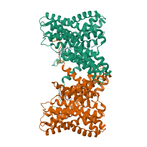 RCSB PDB - 23XM: Cryo-EM structure of human sodium/proton antiporter ...