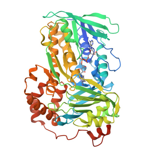 Structure 23ZV