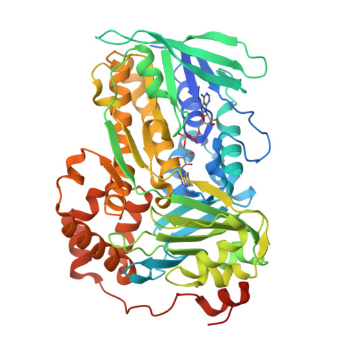 Structure 24BG