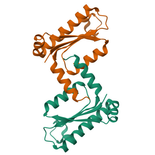 Structure 24BT