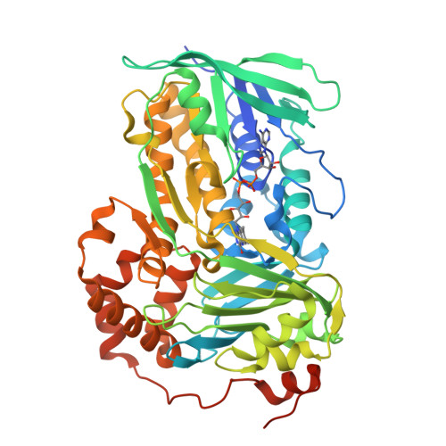 Structure 24CI