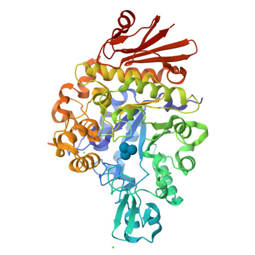 Structure 24FP