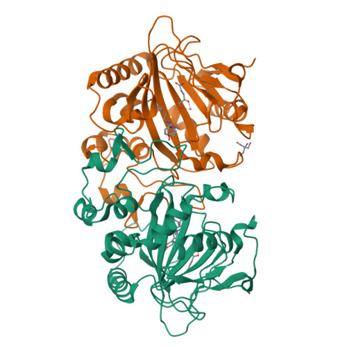 Structure 24FX