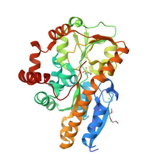 Structure 24GE