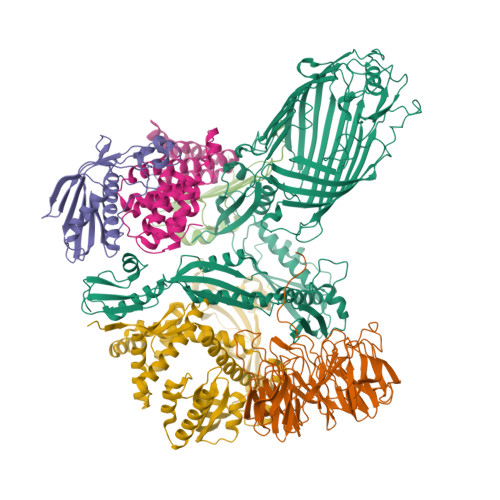 Structure 24GL